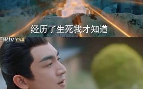 《与凤行》百度云资源下载「1080p/Mp4中字」百度云网盘更新缩略图