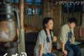 《迎风的青春》迅雷BT资源下载（高清BD）下载[MP4]缩略图